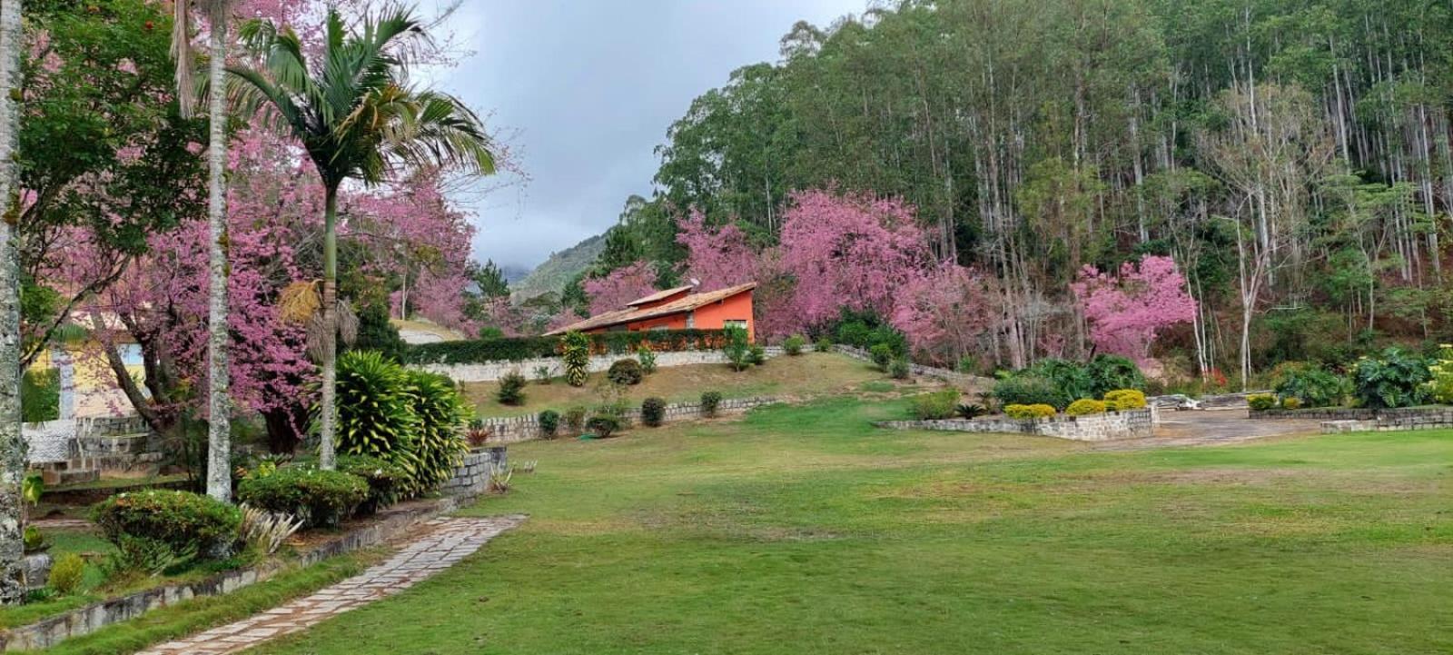 Cabanas Eco Das Montanhas Domingos Martins Exteriér fotografie